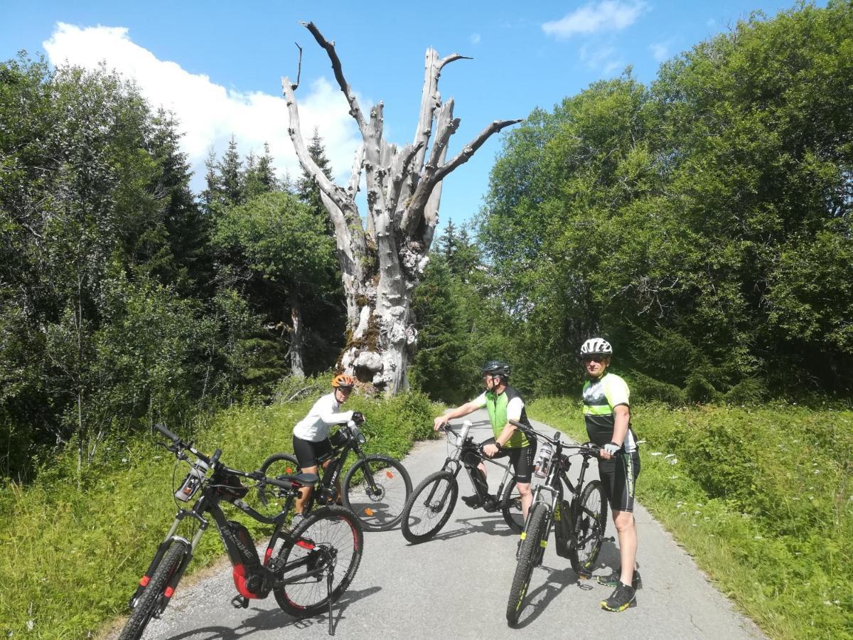 Ferienhof Schaubmeier Klaffer am Hochficht Kültér fotó