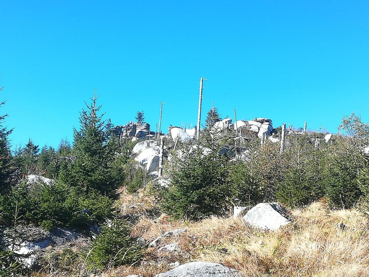 Ferienhof Schaubmeier Klaffer am Hochficht Kültér fotó