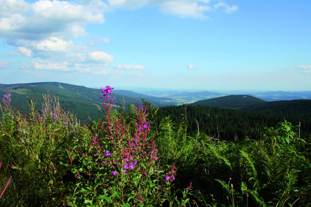 Ferienhof Schaubmeier Klaffer am Hochficht Kültér fotó